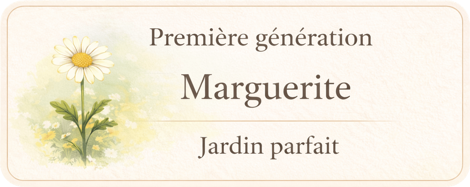 Première génération - Marguerite - Jardin parfait